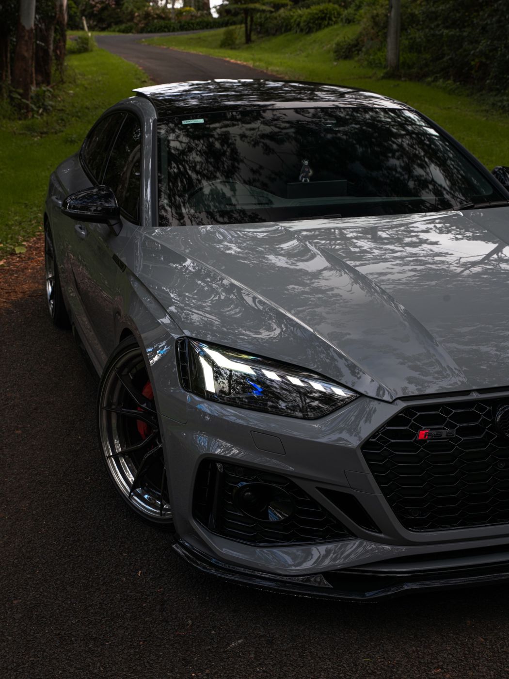 Nardo grey Audi RS5 coated in Always Dry, trees reflected in the bonnet